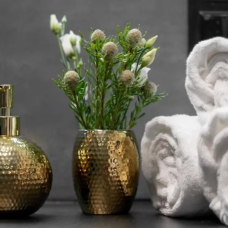 Ans Hanza Tower No 530 - Swimming Pool, Sauna, Jacuzzi, Viewing Terrace *